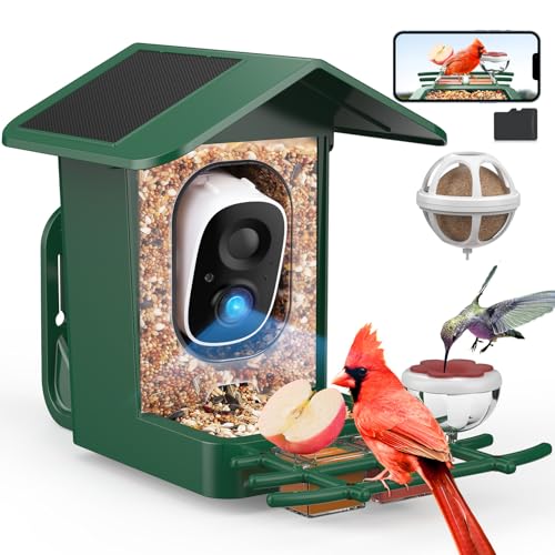 PeckCam Bird Feeder with Camera Solar Powered
