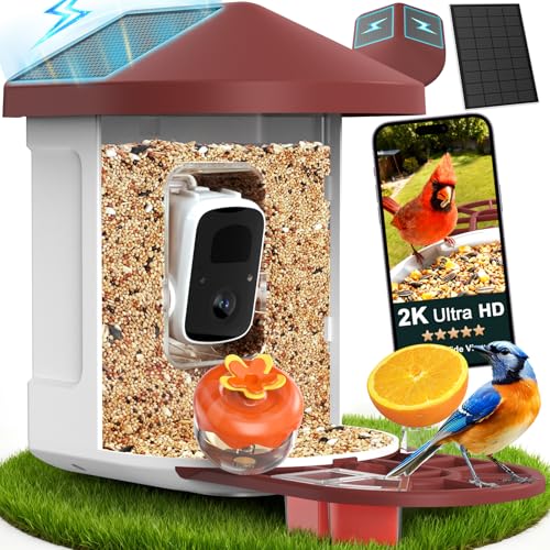 PeckCam® Bird Feeder with Camera with AI Identify 10000+ Birds Species